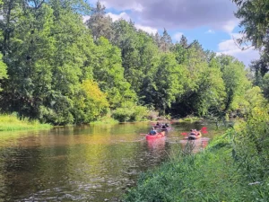 IMG_20250817_143848608_HDR_AE